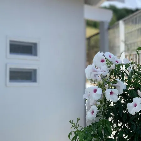 بيت للعطل Beautiful Modern Apartment 10Mins From The Beach